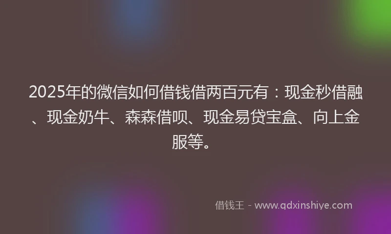 2025年的微信如何借钱借两百元有：现金秒借融、现金奶牛、森森借呗、现金易贷宝盒、向上金服等。