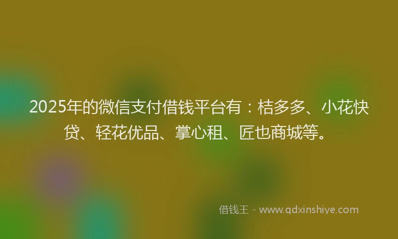 2025年的微信支付借钱平台有：桔多多、小花快贷、轻花优品、掌心租、匠也商城等。