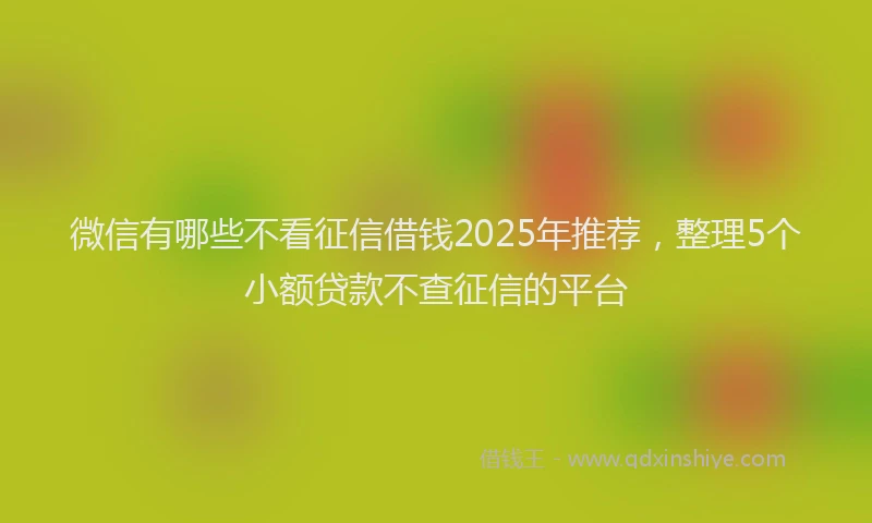 微信有哪些不看征信借钱2025年推荐，整理5个小额贷款不查征信的平台