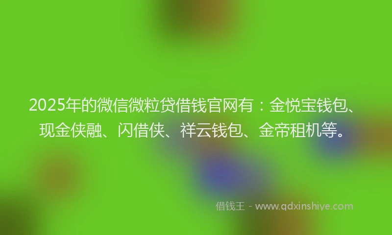 2025年的微信微粒贷借钱官网有：金悦宝钱包、现金侠融、闪借侠、祥云钱包、金帝租机等。