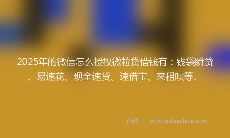 2025年的微信怎么授权微粒贷借钱有：钱袋瞬贷、易速花、现金速贷、速借宝、来租呗等。