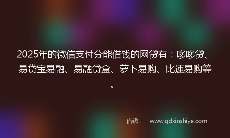 2025年的微信支付分能借钱的网贷有：哆哆贷、易贷宝易融、易融贷盒、萝卜易购、比速易购等。