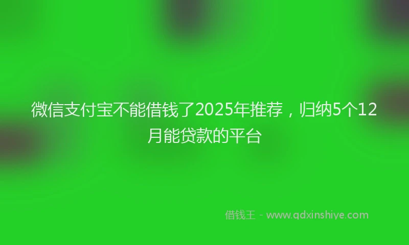 微信支付宝不能借钱了2025年推荐，归纳5个12月能贷款的平台