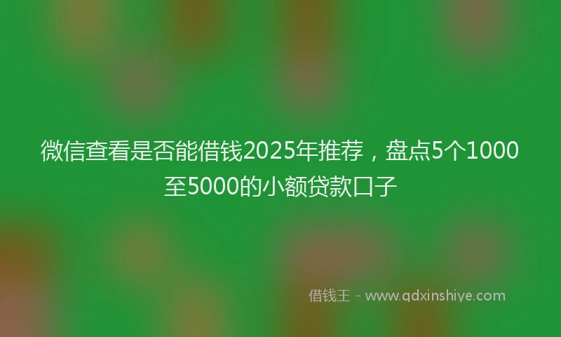 微信查看是否能借钱2025年推荐，盘点5个1000至5000的小额贷款口子