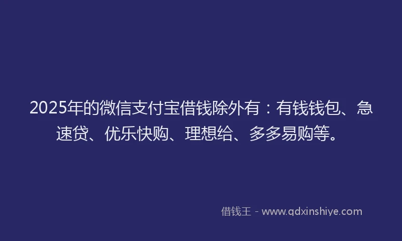 2025年的微信支付宝借钱除外有：有钱钱包、急速贷、优乐快购、理想给、多多易购等。