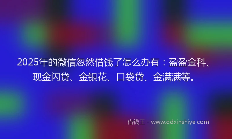 2025年的微信忽然借钱了怎么办有：盈盈金科、现金闪贷、金银花、口袋贷、金满满等。