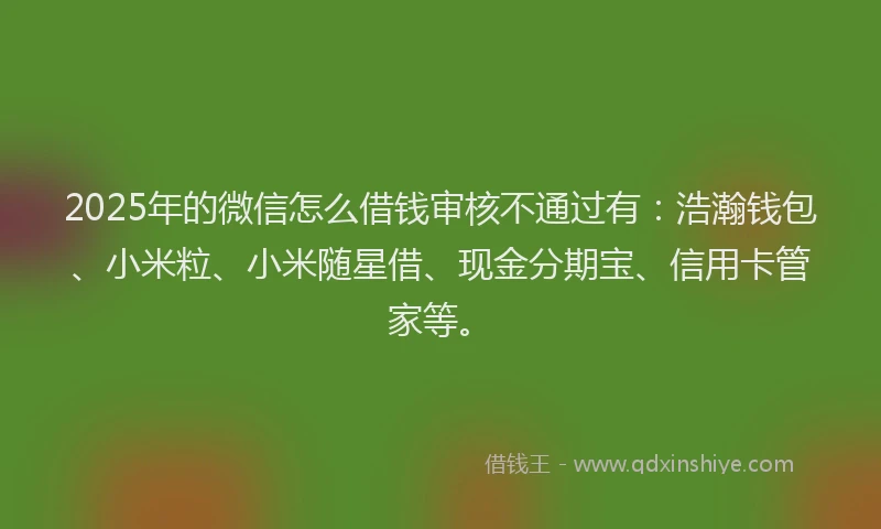 2025年的微信怎么借钱审核不通过有：浩瀚钱包、小米粒、小米随星借、现金分期宝、信用卡管家等。