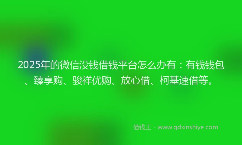 2025年的微信没钱借钱平台怎么办有：有钱钱包、臻享购、骏祥优购、放心借、柯基速借等。