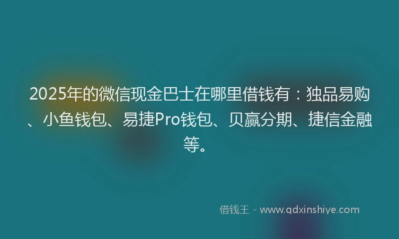 2025年的微信现金巴士在哪里借钱有：独品易购、小鱼钱包、易捷Pro钱包、贝赢分期、捷信金融等。