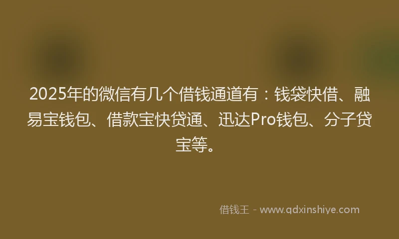2025年的微信有几个借钱通道有：钱袋快借、融易宝钱包、借款宝快贷通、迅达Pro钱包、分子贷宝等。