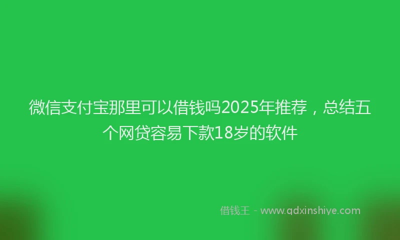 微信支付宝那里可以借钱吗2025年推荐，总结五个网贷容易下款18岁的软件