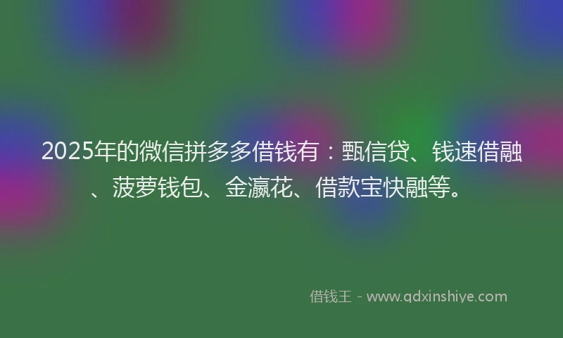 2025年的微信拼多多借钱有：甄信贷、钱速借融、菠萝钱包、金瀛花、借款宝快融等。