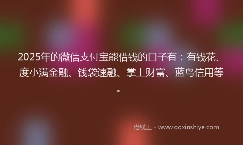 2025年的微信支付宝能借钱的口子有：有钱花、度小满金融、钱袋速融、掌上财富、蓝鸟信用等。