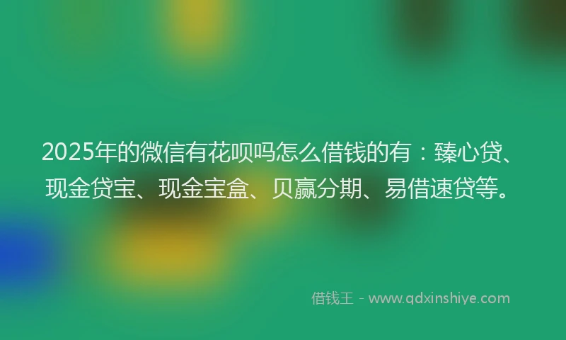 2025年的微信有花呗吗怎么借钱的有：臻心贷、现金贷宝、现金宝盒、贝赢分期、易借速贷等。