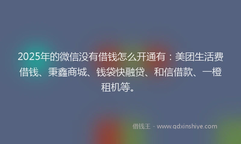 2025年的微信没有借钱怎么开通有：美团生活费借钱、秉鑫商城、钱袋快融贷、和信借款、一橙租机等。