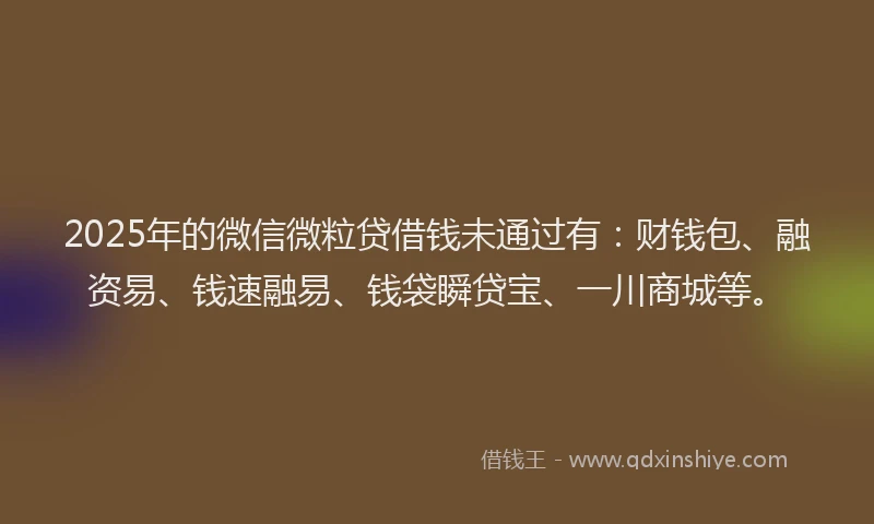 2025年的微信微粒贷借钱未通过有：财钱包、融资易、钱速融易、钱袋瞬贷宝、一川商城等。