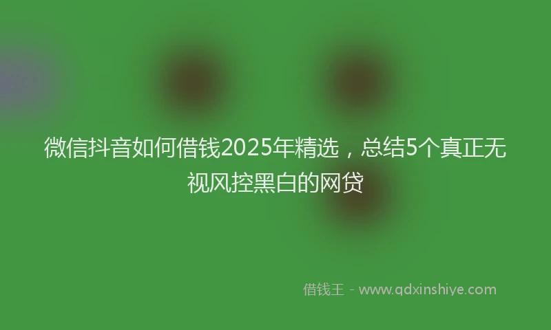 微信抖音如何借钱2025年精选，总结5个真正无视风控黑白的网贷