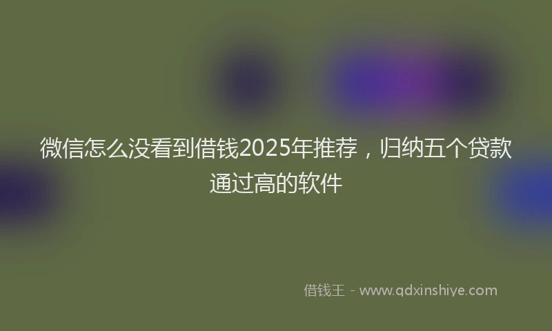 微信怎么没看到借钱2025年推荐，归纳五个贷款通过高的软件