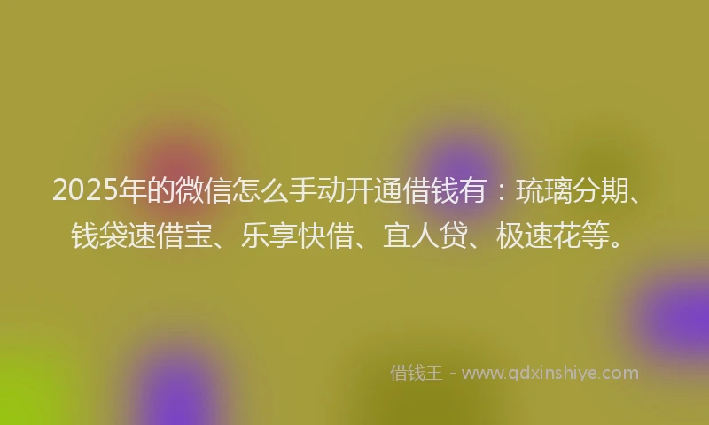 2025年的微信怎么手动开通借钱有：琉璃分期、钱袋速借宝、乐享快借、宜人贷、极速花等。