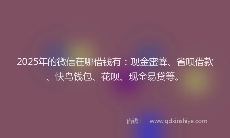 2025年的微信在哪借钱有：现金蜜蜂、省呗借款、快鸟钱包、花呗、现金易贷等。