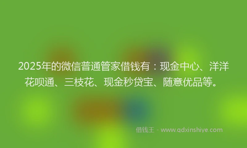 2025年的微信普通管家借钱有：现金中心、洋洋花呗通、三枝花、现金秒贷宝、随意优品等。