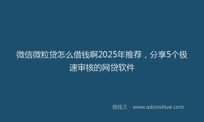 微信微粒贷怎么借钱啊2025年推荐，分享5个极速审核的网贷软件