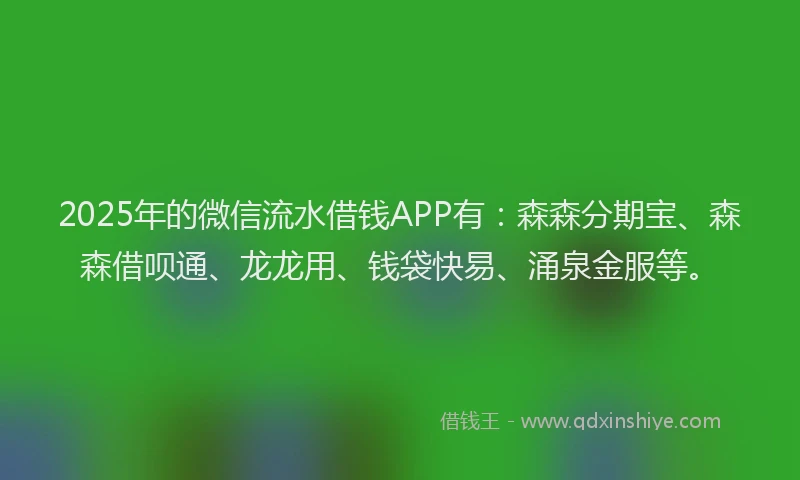 2025年的微信流水借钱APP有：森森分期宝、森森借呗通、龙龙用、钱袋快易、涌泉金服等。