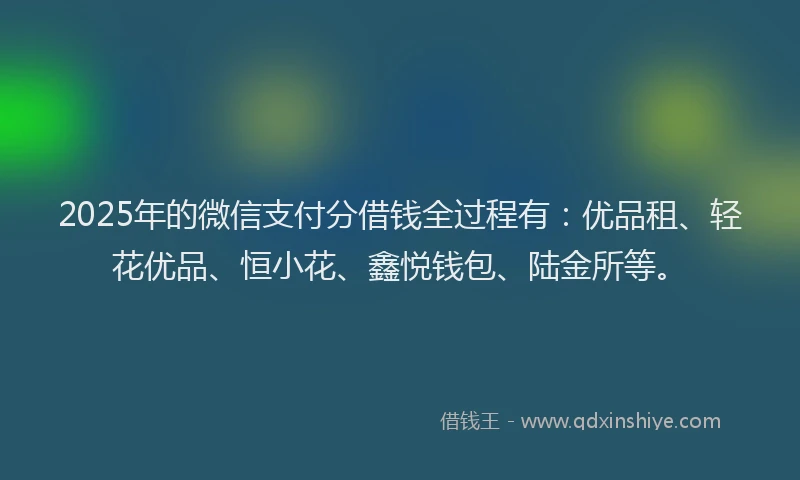 2025年的微信支付分借钱全过程有：优品租、轻花优品、恒小花、鑫悦钱包、陆金所等。