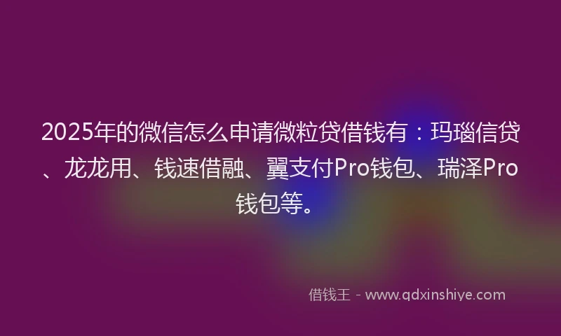 2025年的微信怎么申请微粒贷借钱有：玛瑙信贷、龙龙用、钱速借融、翼支付Pro钱包、瑞泽Pro钱包等。