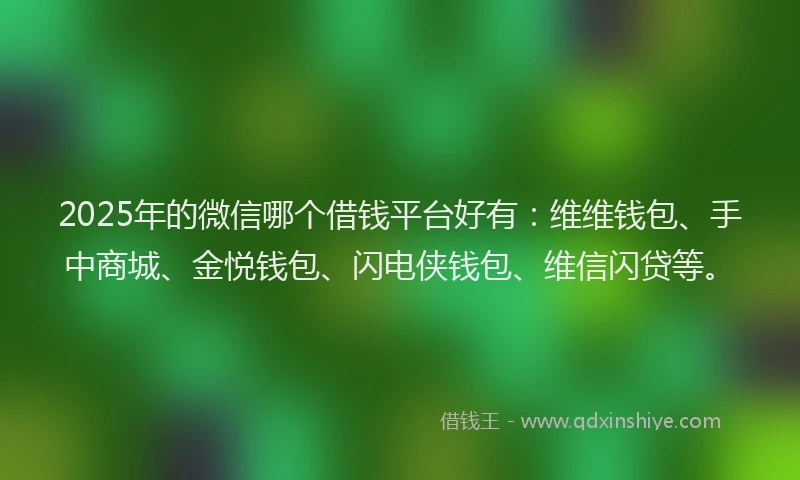 2025年的微信哪个借钱平台好有：维维钱包、手中商城、金悦钱包、闪电侠钱包、维信闪贷等。