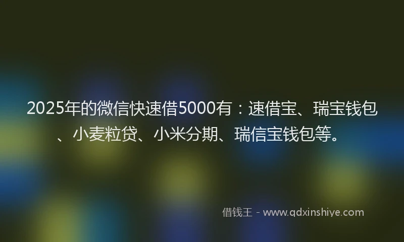 2025年的微信快速借5000有：速借宝、瑞宝钱包、小麦粒贷、小米分期、瑞信宝钱包等。