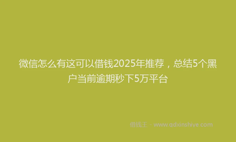 微信怎么有这可以借钱2025年推荐，总结5个黑户当前逾期秒下5万平台