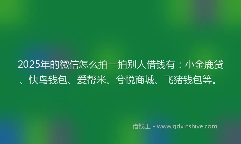 2025年的微信怎么拍一拍别人借钱有：小金鹿贷、快鸟钱包、爱帮米、兮悦商城、飞猪钱包等。