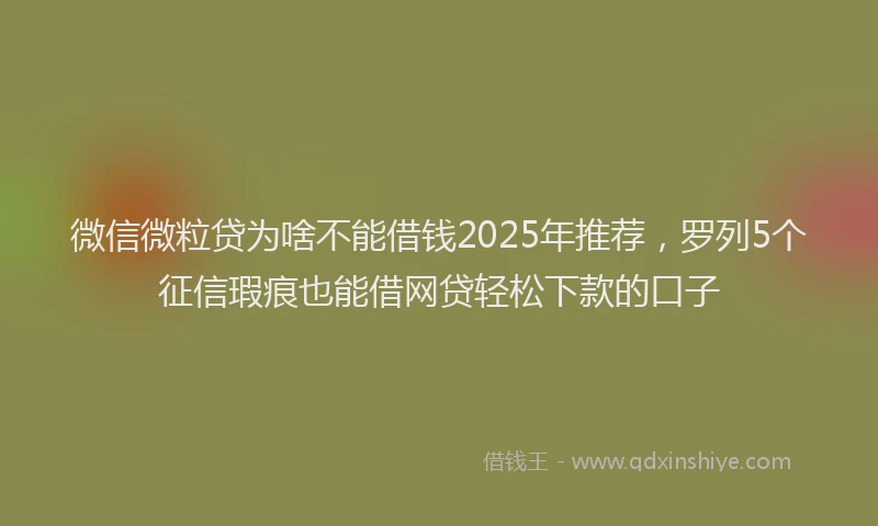 微信微粒贷为啥不能借钱2025年推荐，罗列5个征信瑕疵也能借网贷轻松下款的口子