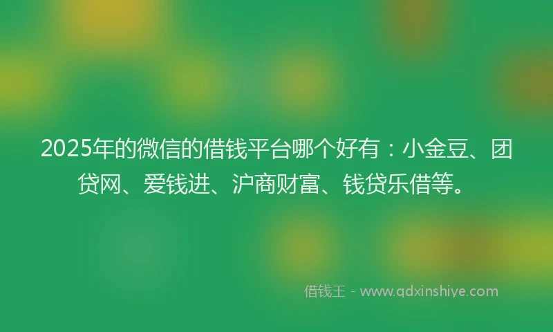2025年的微信的借钱平台哪个好有：小金豆、团贷网、爱钱进、沪商财富、钱贷乐借等。