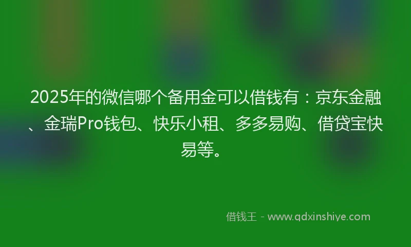2025年的微信哪个备用金可以借钱有：京东金融、金瑞Pro钱包、快乐小租、多多易购、借贷宝快易等。