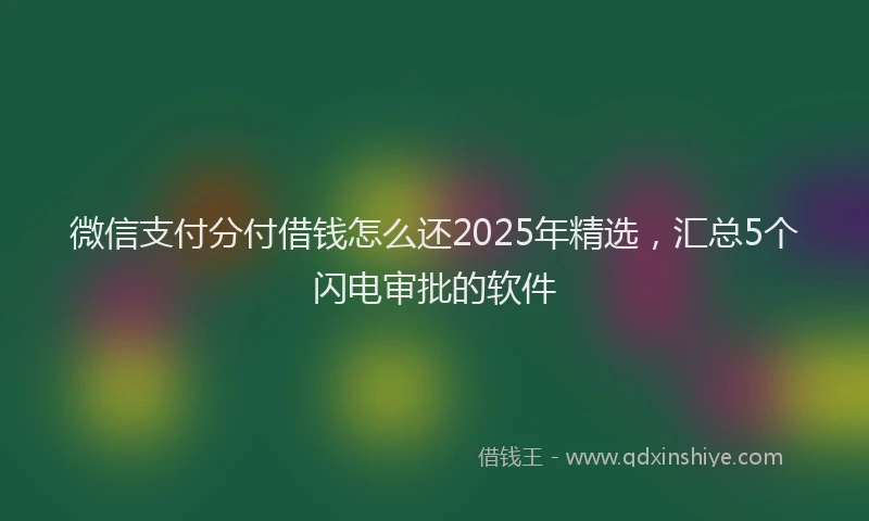 微信支付分付借钱怎么还2025年精选，汇总5个闪电审批的软件