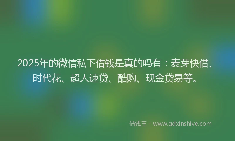 2025年的微信私下借钱是真的吗有：麦芽快借、时代花、超人速贷、酷购、现金贷易等。