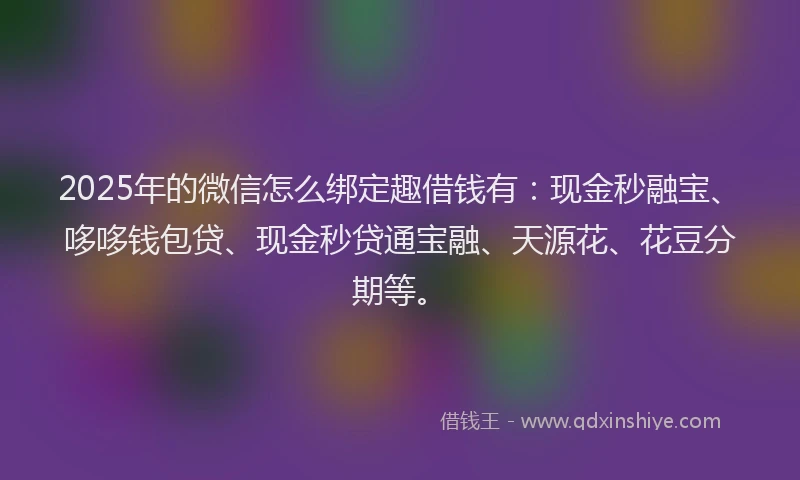 2025年的微信怎么绑定趣借钱有：现金秒融宝、哆哆钱包贷、现金秒贷通宝融、天源花、花豆分期等。