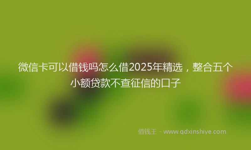 微信卡可以借钱吗怎么借2025年精选，整合五个小额贷款不查征信的口子
