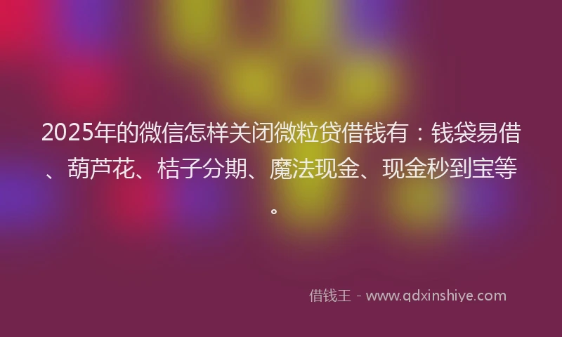 2025年的微信怎样关闭微粒贷借钱有：钱袋易借、葫芦花、桔子分期、魔法现金、现金秒到宝等。