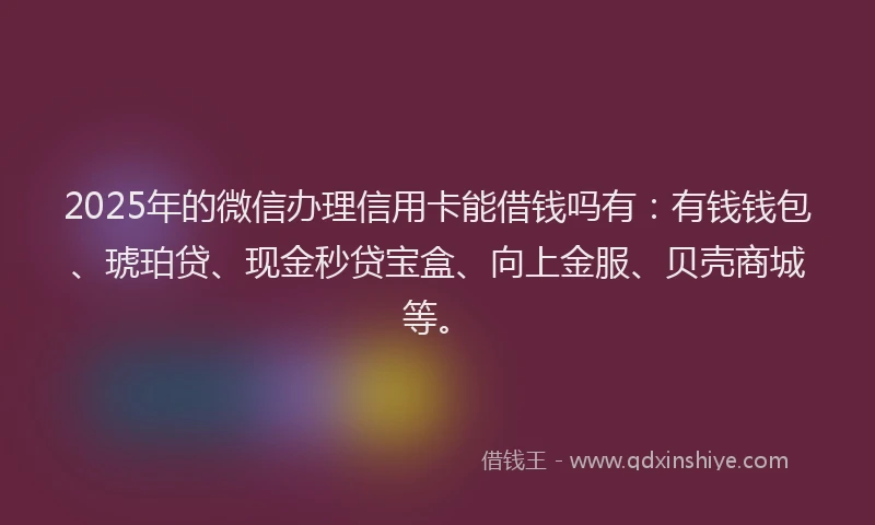 2025年的微信办理信用卡能借钱吗有：有钱钱包、琥珀贷、现金秒贷宝盒、向上金服、贝壳商城等。
