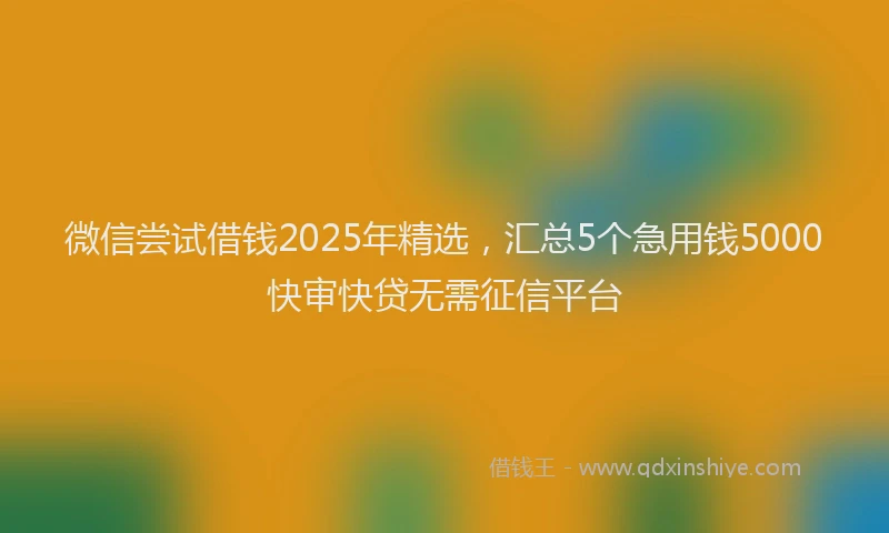 微信尝试借钱2025年精选，汇总5个急用钱5000快审快贷无需征信平台