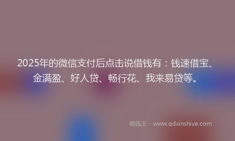 2025年的微信支付后点击说借钱有：钱速借宝、金满盈、好人贷、畅行花、我来易贷等。