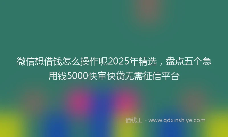 微信想借钱怎么操作呢2025年精选，盘点五个急用钱5000快审快贷无需征信平台