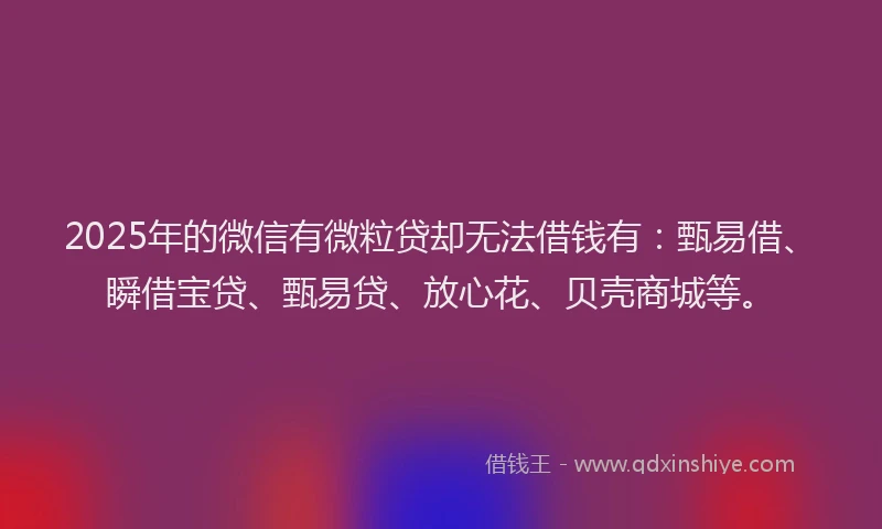 2025年的微信有微粒贷却无法借钱有：甄易借、瞬借宝贷、甄易贷、放心花、贝壳商城等。