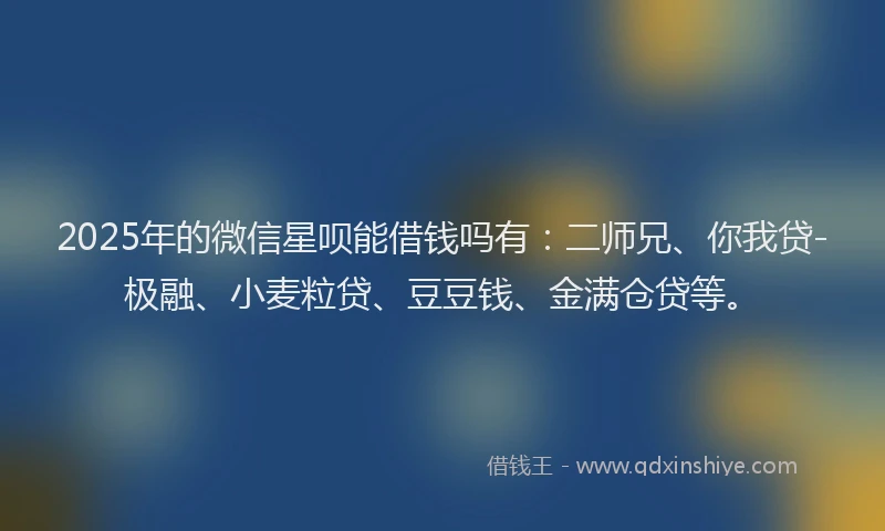 2025年的微信星呗能借钱吗有：二师兄、你我贷-极融、小麦粒贷、豆豆钱、金满仓贷等。