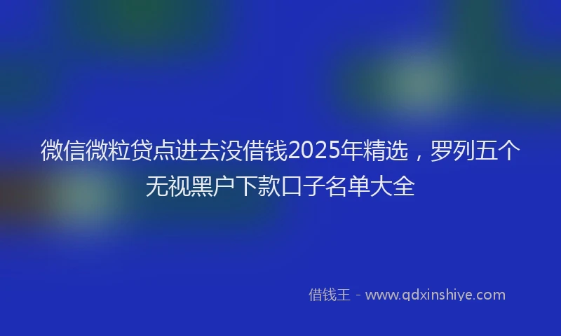 微信微粒贷点进去没借钱2025年精选，罗列五个无视黑户下款口子名单大全