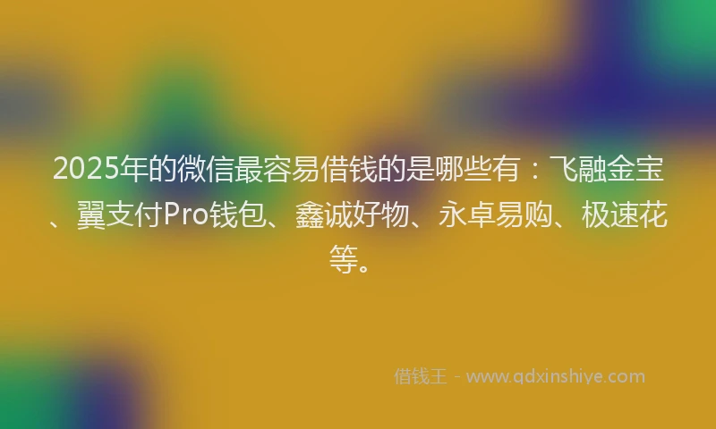 2025年的微信最容易借钱的是哪些有：飞融金宝、翼支付Pro钱包、鑫诚好物、永卓易购、极速花等。