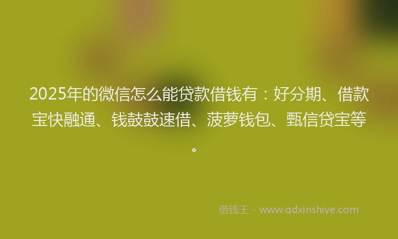 2025年的微信怎么能贷款借钱有：好分期、借款宝快融通、钱鼓鼓速借、菠萝钱包、甄信贷宝等。